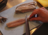 <b> Waddenzee en Wasabi </b>: een goede combi