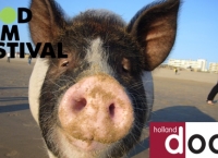 <b> FFF </b> films op Holland Doc 24