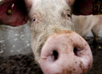 Blog: <b>EET</b>.ONTWERP