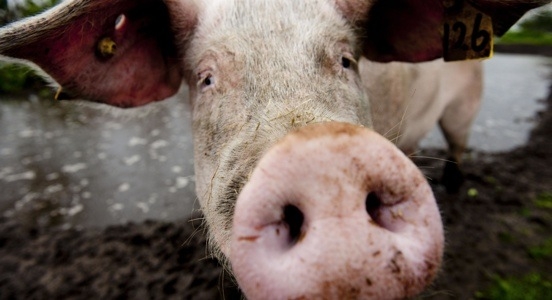 Blog: <b>EET</b>.ONTWERP