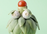 Programma 2012 <b> online! </b>