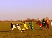 Dansen en Schuren op Food Film Festival