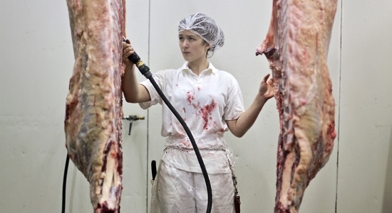 Meatwork <b> SHORT - EU Première </b>