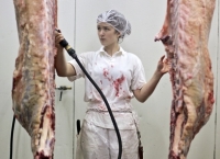 Meatwork <b> SHORT - EU Première </b>