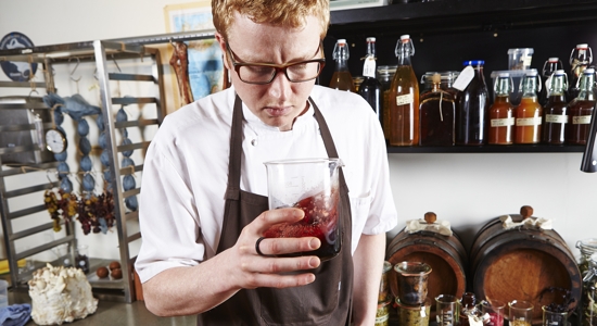 The Culinary Bug Adventures of Ben Reade