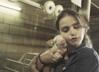 Varkens <b>Shortsblok</b> + <b>Q&A</b>