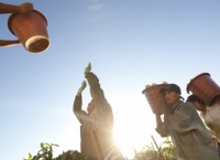 Food Chains <b>NL Première</b>